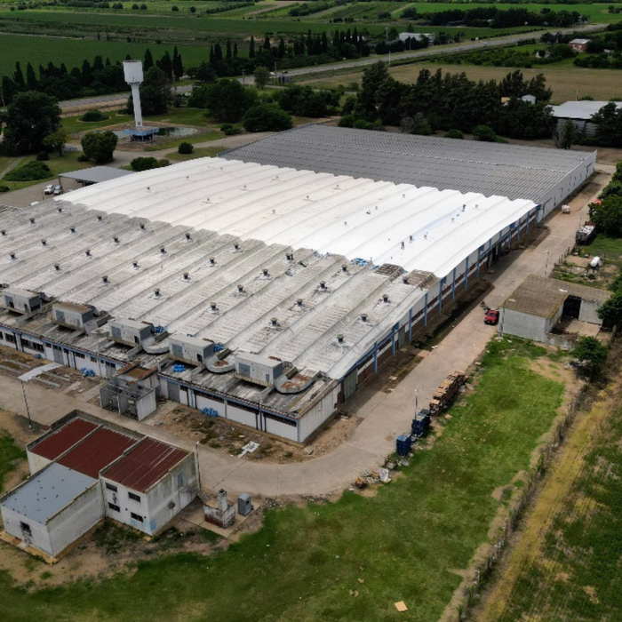 Aquaflex Techos Plus Mapei aplicado sobre techo