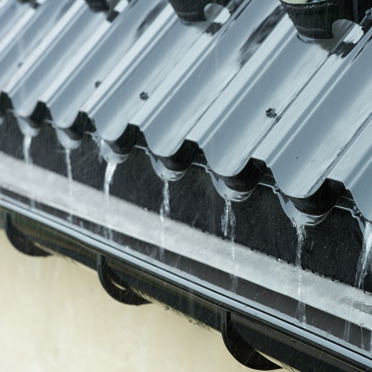 Selladores de Techo y Tapagoteras